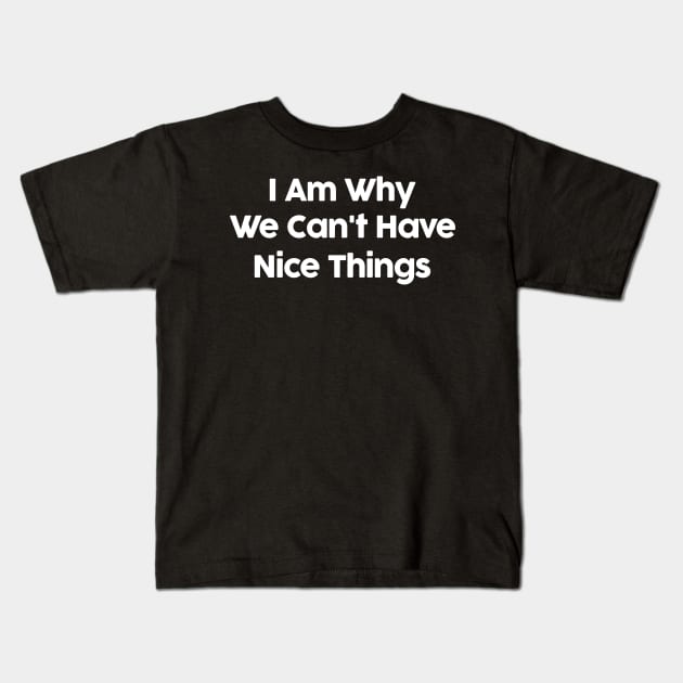 I Am Why We Can't Have Nice Things Funny Kids T-Shirt by solsateez